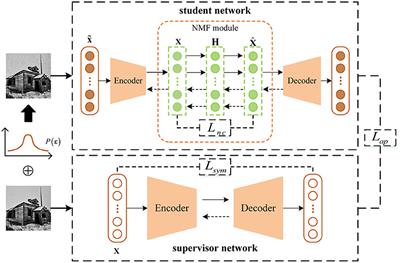 A Deep Non-negative Matrix Factorization Model for Big Data Representation Learning